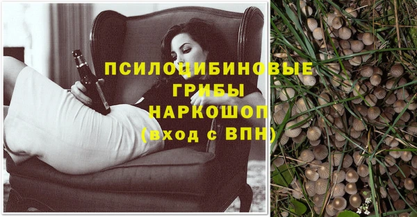 Альфа ПВП Зеленодольск