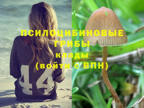 метадон Зерноград